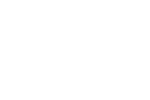 Space X